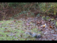 dsc00076.jpg